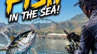 Fishing Far Offshore and Catching Big Monsters