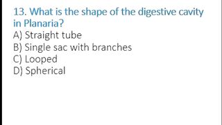 Planaria Feeding & Digestion MCQs | Gastrovascular Cavity, Pharynx & Nutrition | Class 11 Biology