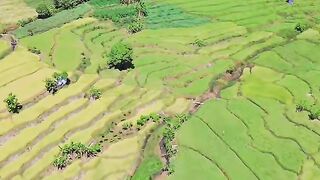 Pesona Gunung Ciremai di Pagi Hari