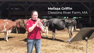 Massachusetts Dairy Farmer Plays