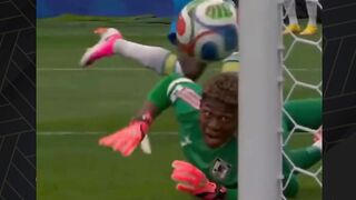 Brazil vs Japan