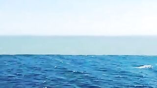 Salah Satu Keajaiban Alam