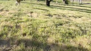 What is the best way to get back my Stolen Bitcoin