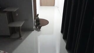 Leap of Faith