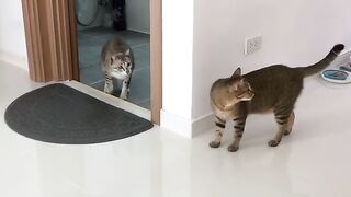 Surprise Corner Attack