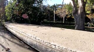 An incredible way I ensure street cats never go hungry.