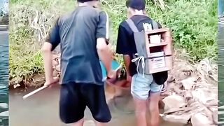 Kesetrum langsung kaku