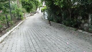 Stray cat Pom pom greets us with great joy every time we meet