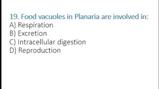 Planaria Nutrition & Digestion MCQs | Food Vacuoles, Diffusion & Gastrovascular Cavity | Class 11 Biology