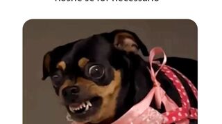 sem frase motivacional hoje - narrando memes