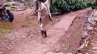 Funny videos ngakak lagi