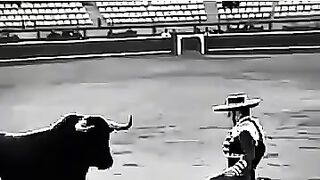 El Torero