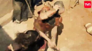 95. Josue y La Tierra Prometida (Josue A Terra Prometida), en español
