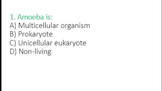 Amoeba Nutrition MCQs | Class 11 Biology | Important Biology MCQs for MDCAT & Board Exams