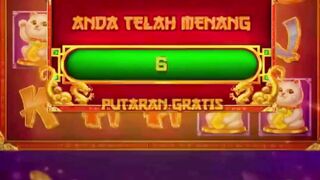 7meter 381
