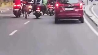 Bosan Rebahan di Kandang, Rusa TMP Kalibata Nekat Jebol Pintu Buat Ikutan Macet-macetan di Jalanan Jaksel!