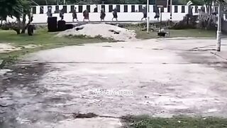 Delapan biksu Thailand tewas