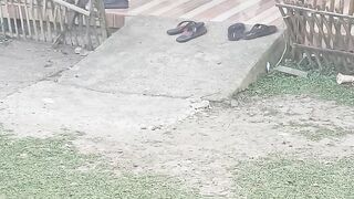 Persahabatan dua bebek hitam