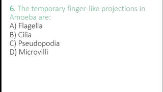 Amoeba MCQs | Pseudopodia, Digestion & Movement | Class 11 Biology | MDCAT Biology