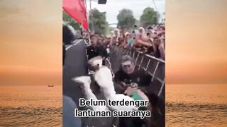 hari apes memang tidak ada di kalender
