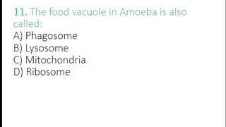 Planaria MCQs | Digestive System & Gastrovascular Cavity | Class 11 Biology | MDCAT Biology