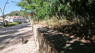 Stray cats Leo and Maisy were waiting for me together