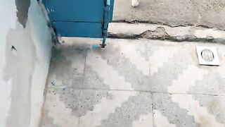 The kittens and their mother cat were waiting at the door.