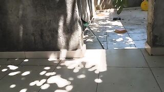 Enjoy your meal, my lovely cats. 2