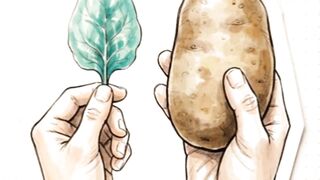 Beginner vs PRO Foods! 🛑💪 Upgrade Your Diet Now #food #helthy #shortvideo #healthbenefits #fyp