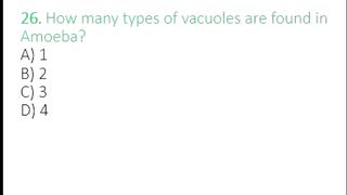 Amoeba MCQs | Vacuoles, Phagocytosis & Digestion | Important Biology Quiz