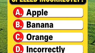 Which Word is Spelled Incorrectly
