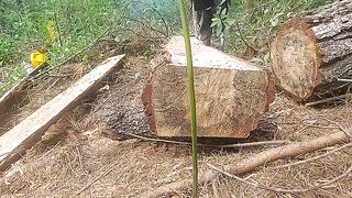 wood cutting