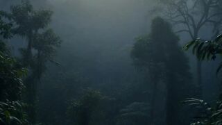 ORANG PENDEK DI HUTAN SUMATRA — MAKHLUK MISTERI YANG BELUM TERPECAHKAN
