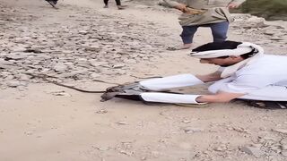 Snake catching in Yemen — barehanded capture