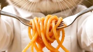 KittenCooking