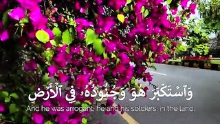 Qur'an paak Tilawat must watch 2