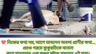 ❤️ যে মানুষ প্রাণীর কষ্ট বোঝে, সে-ই সত্যিকারের মানুষ!