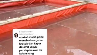 Gak perlu Garam Grosok, Kapur Dolomit, dan Pupuk NPK