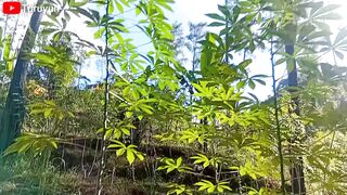 A little vlog of a trip up the mountain