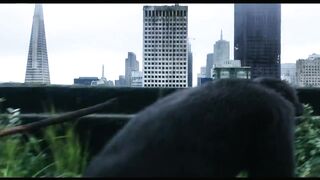 Apes Do Not Want War Scene | DAWN OF THE PLANET OF THE APES (2014) Sci-Fi, Movie CLIP HD