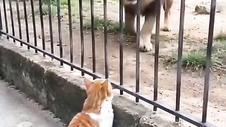দাদা গিরি সবখানে চলে না।