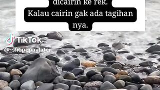 PT Lentera dana Nusantara 17