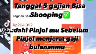 PT Lentera dana Nusantara 18