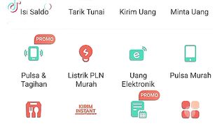 PT Lentera dana Nusantara 21