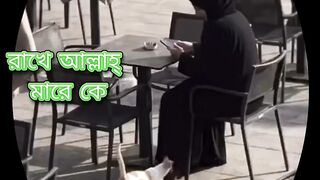 😲 মৃত্যুর হাত থেকে এক নারীকে বাঁচিয়ে দিল একটি বিড়াল |