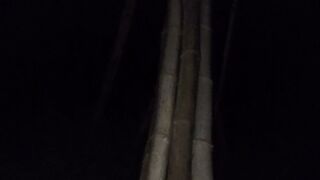 Extreme Bamboo Bridge Ride In The Dark - Dangerous Road
