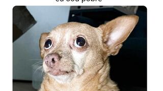 sendo que eu sou pobre - narrando memes