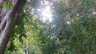 Beautiful Tropical Forest with Birds Sound & Nature River - Relaxing Nature