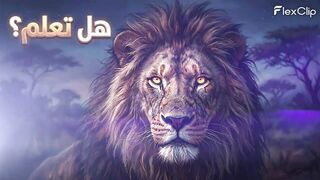 اكتشف واحدة من أكثر الحقائق المدهشة عن الحيوانات!#أسرار_مخفية_ عن_الحيوانات