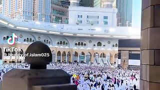 Rashid 29
